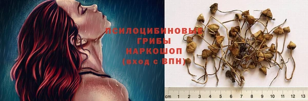 хмурый Майский