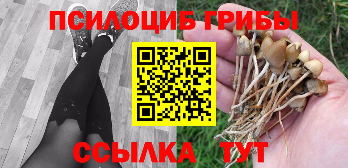 Отрадное  Псилоцибиновые грибы ЛСД  Вход с VPN  Галлюциногенные грибы мицелий 