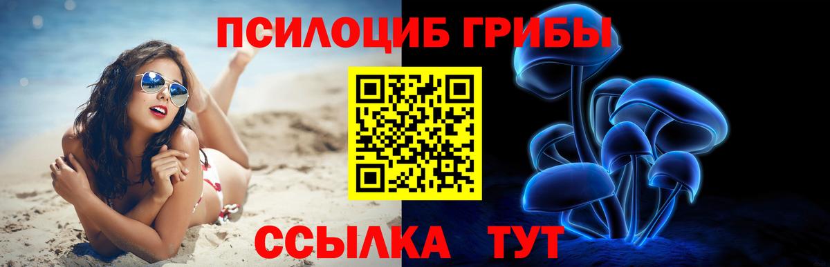 Галлюциногенные грибы Psilocybe Отрадное